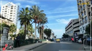 بشرى سارة من الأرصاد.. تحسن في الأحوال الجوية وأعلى درجة حرارة بالقاهرة تصل لـ 33 1